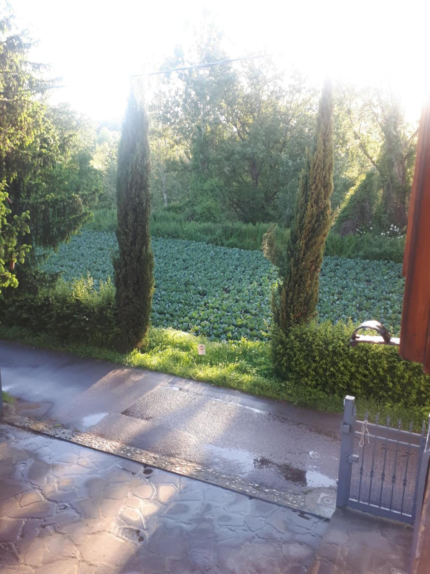 B&B Due Abeti Florence Exterior photo